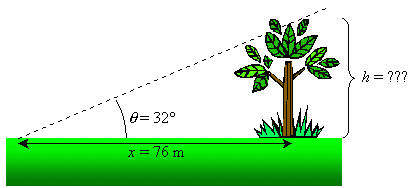 Height of a tree