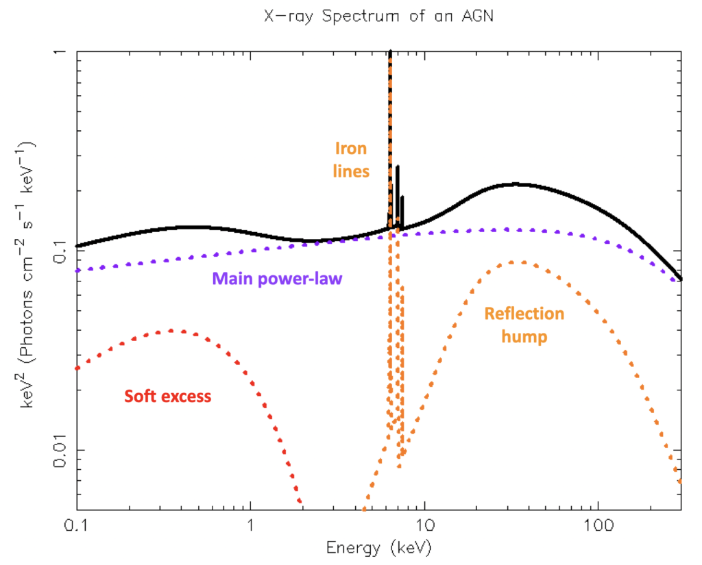 Theoretical X-ray spectrum of an AGN, including the direct emission (main power-law), reflected emission and soft excess. The power-law is cut off at 300 keV. Credit: N. Torres-Albà
