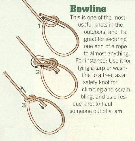 How to tie shop a bowline hitch